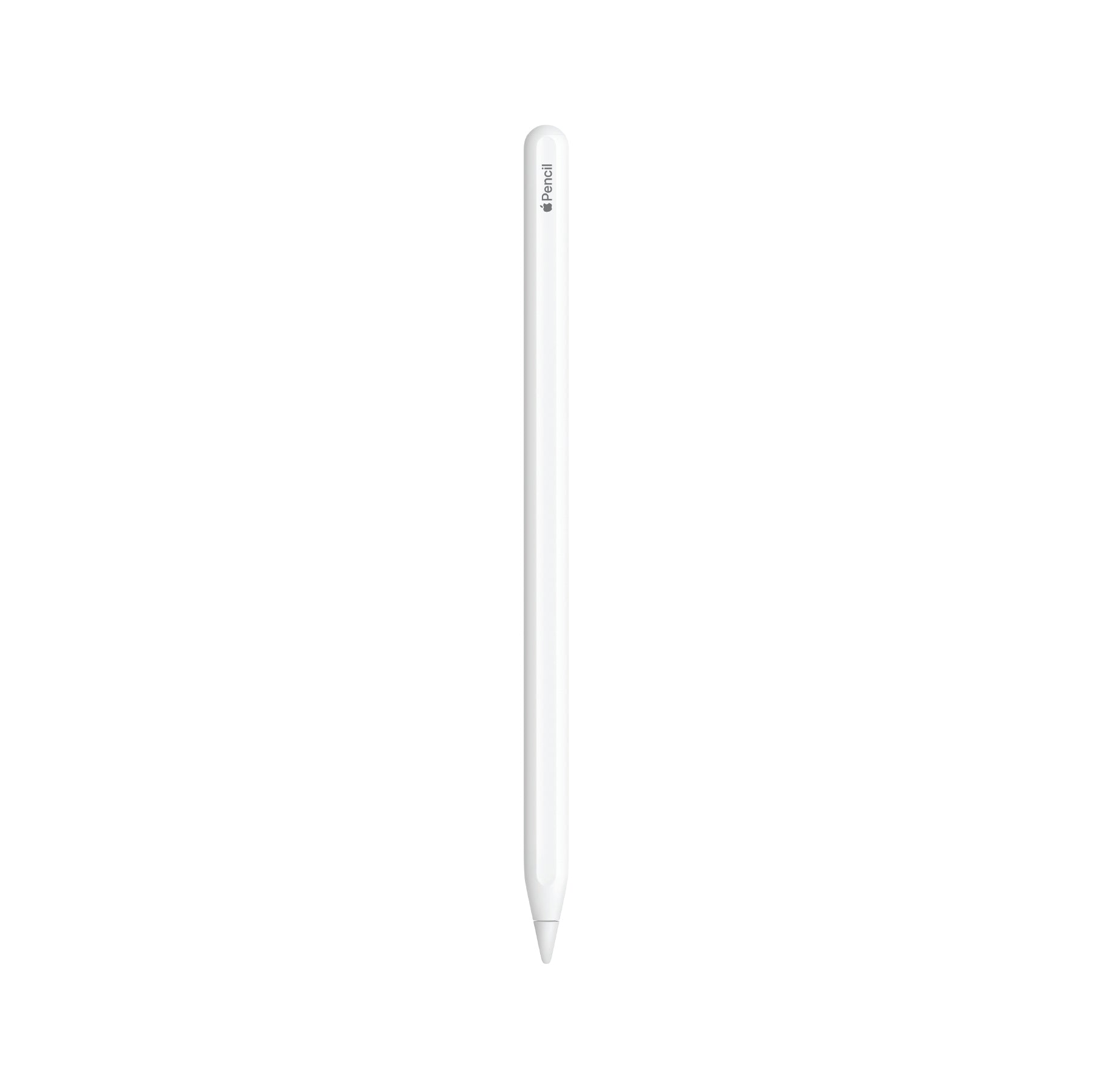 Apple Pencil (2nd Generation) (New) - iStore Pre-owned