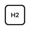 H2 Chip