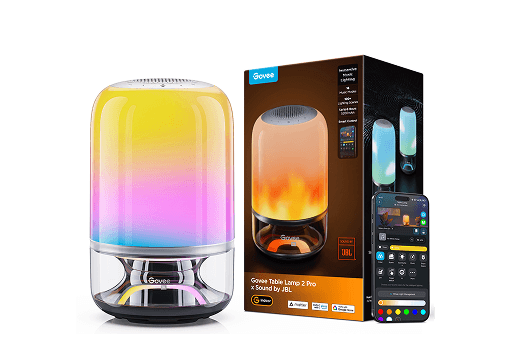 Govee visual light experience
