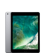 iPad (5th generation)