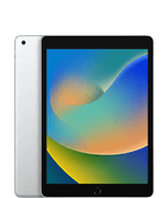 iPad (9th generation)